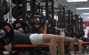 periodization